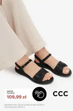 CCC Sandały damskie Lasocki oferta