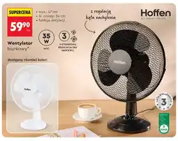 Biedronka Wentylator biurkowy Hoffen oferta