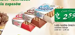 Cezar Delikatesy Lody kostka śnieżna Koral oferta