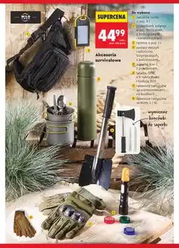 Biedronka Saszetka nerka Wild Trek oferta