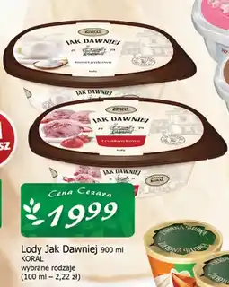 Cezar Delikatesy Lody Jak Dawniej Koral oferta