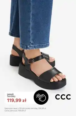 CCC Sandały Lasocki oferta