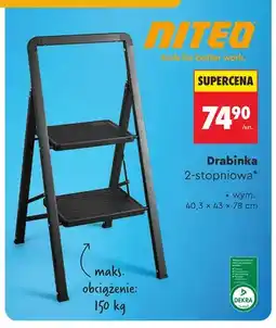 Biedronka Drabinka 2-stopniowa Niteo oferta