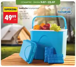 Biedronka Lodówka turystyczna ConnaBride oferta