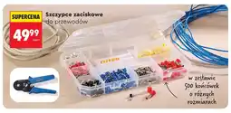 Biedronka Szczypce zaciskowe do przewodów NITEO oferta