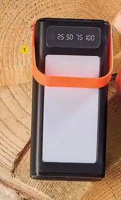 Biedronka Powerbank z latarką Wild Trek oferta