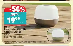 Biedronka Lampa stołowa LED Sanico Goldlux Samba oferta