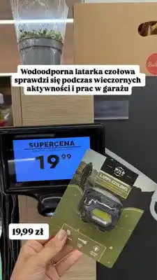 Biedronka Lampa czołowa wodoodporna Wild Trek oferta