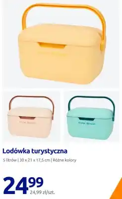 Action Lodówka turystyczna Arctic Breeze oferta