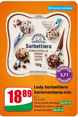 Dino Lody Sorbettiera Sammontana mix oferta
