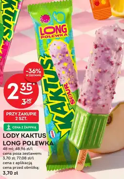 Żabka Kaktus oferta