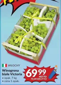 Makro Winogrona Białe oferta