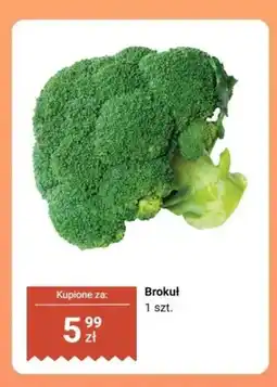 Biedronka Brokuł oferta