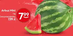 Żabka Arbuz oferta