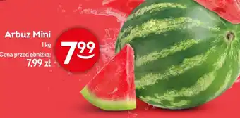 Żabka Arbuz oferta