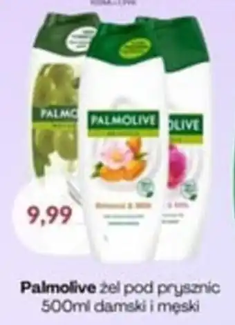 Astor Palmolive żel pod prysznic oferta