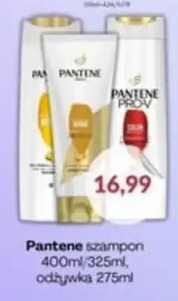 Astor Pantene szampon oferta