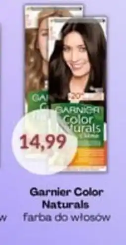 Astor Garnier Color Naturals farba do włosów oferta