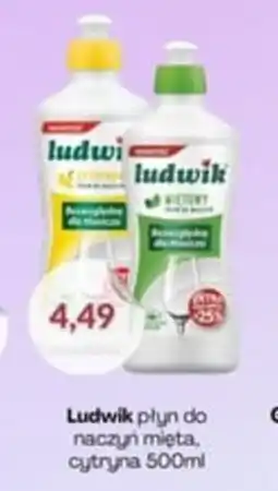 Astor Ludwik płyn do naczyń oferta