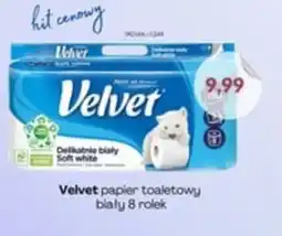 Astor Velvet papier toaletowy oferta
