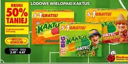 Biedronka Lodowe wielopaki Kaktus oferta