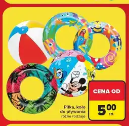 Carrefour Koło do pływania oferta