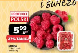 Netto Malina oferta