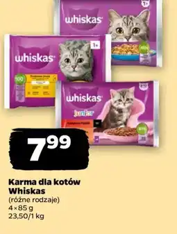 Netto Karma dla kotów Whiskas oferta