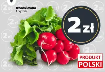 Netto Rzodkiewka oferta