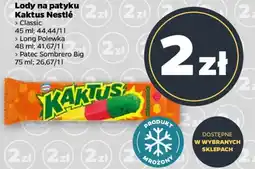 Netto Lody na patyku oferta