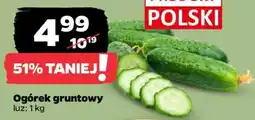 Netto Ogórek gruntowy oferta