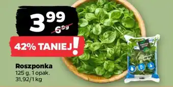 Netto Roszponka oferta