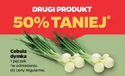 Netto Cebula dymka oferta