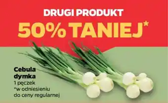 Netto Cebula dymka oferta