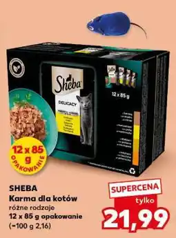 Kaufland SHEBA Karma dla kotów oferta