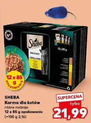 Kaufland SHEBA Karma dla kotów oferta