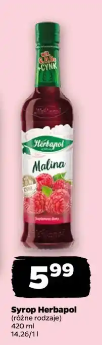 Netto Syrop herbapol oferta