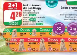 Dino Mokra karma dla psa Doogy oferta