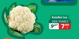 Biedronka Kalafior luz oferta