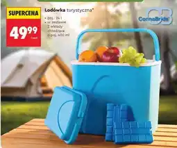 Biedronka Lodówka turystyczna oferta