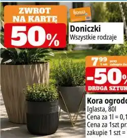 E.Leclerc Doniczki oferta