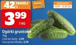 E.Leclerc Ogórki gruntowe oferta