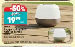 Biedronka Lampa stołowa LED Sanico Goldlux Samba brązowa oferta