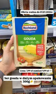 Dino Ser żółty w plastrach Hochland Gouda oferta