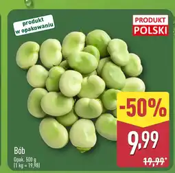 ALDI Bób Polski oferta