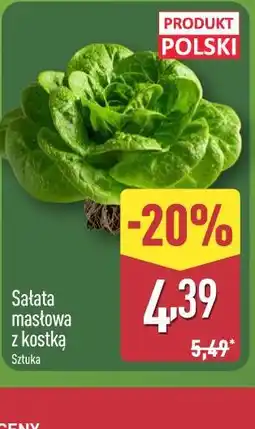 ALDI Sałata masłowa z kostką oferta