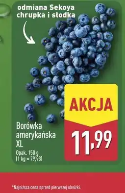 ALDI Borówka amerykańska XL oferta