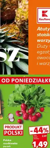 Kaufland Polska rzodkiewka pęczek oferta