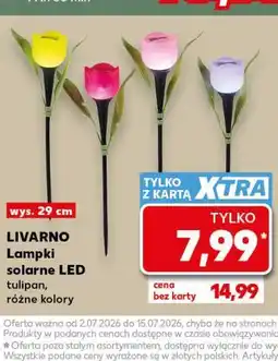 Kaufland LIVARNO Lampki solarne LED oferta