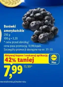 Lidl Borówki amerykańskie oferta